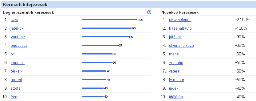 Google - 2009 legnépszerűbb keresései